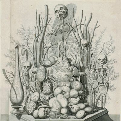 image for Alle de ontleed- genees- en heelkundige werken van Fredrik Ruysch. In zijn ed. leven vermaard geneesheer en hoog-leeraar in d'ontleed- en kruydkunde tot Amsterdam; als mede lid der Keyserlyke, Londensche en Parysse genootschappen. Met veele koperen plaaten. Eerste - Tweede - Derde deel. [Complete].