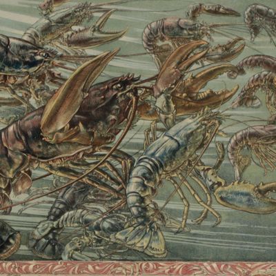 Das Thier in der decorativen Kunst. Plate 2 [Lobsters]