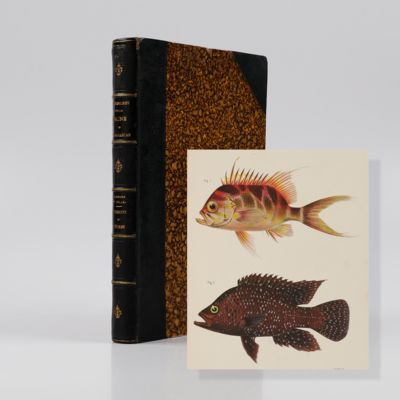 Recherches sur la faune de Madagascar et de ses Dépendances, d'apres les découvertes de Fr. P. C. Pollen et D. van Dam. 4me Partie. Poissons de Madagascar et de l'Ile de la Réunion des collections de MM. Pollen et Van Dam. [AND] Les pêches a Madagascar et es dépendances.