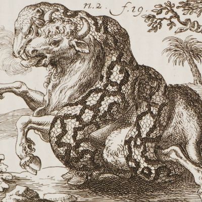 De Bufone permagno [AND] Serpente magno Indiae Orientalis, Urobubalum deglutiente.