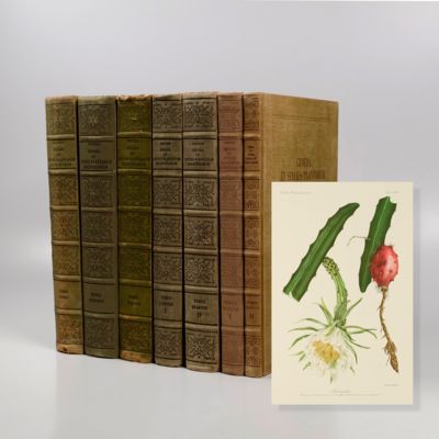 image for Genera et Species Plantarum Argentinarum. I-V. [A complete set].
