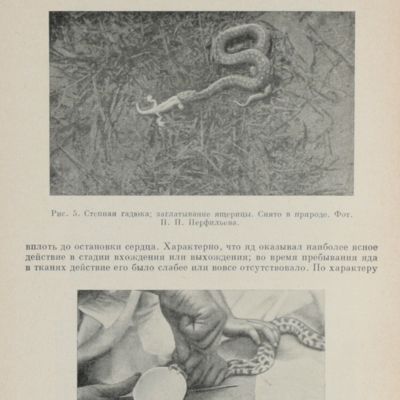 Papers on Experimental Zoology and Toxic Animals.
