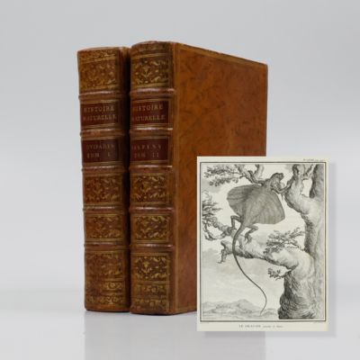 Histoire naturelle, générale et particuliére, avec la description du cabinet du roi. Histoire naturelle des quadrupèdes ovipares et des serpens. Tome premier - second. [Complete].