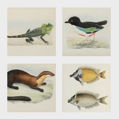 Bijdragen tot de Dierkunde. Uitgegeven door het Koninklijk Zoologisch Genootschap Natura Artis Magistra. Eerste Deel. [= Issues 1-6].