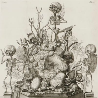 [Original engraved "Wunderkammer" print].