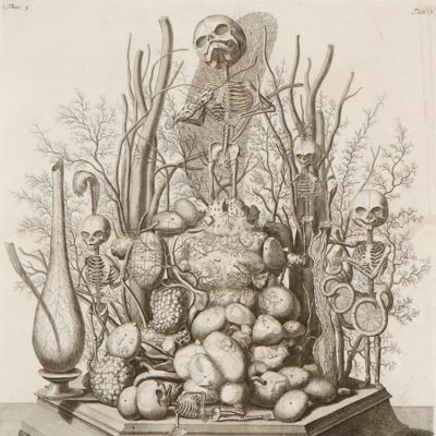 [Original engraved "Wunderkammer" print].