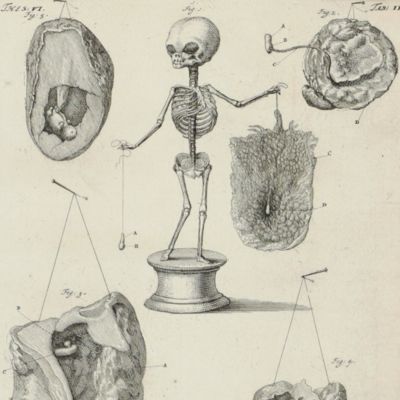 [Original engraved print]