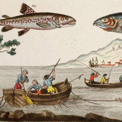 image for Unterhaltungen aus der Naturgeschichte. Der Fische.