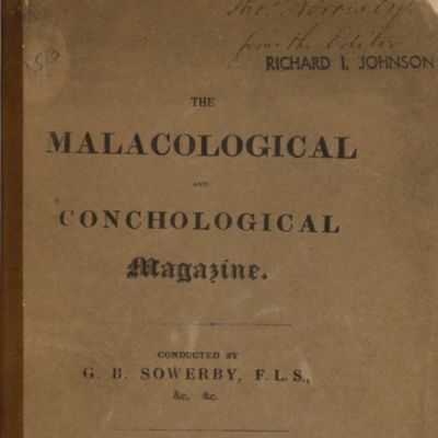image for The Malacological and Conchological Magazine.