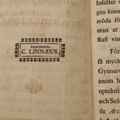 image for Nomenclator extemporaneus rerum naturalium: plantarum, insectorum, conchyliorum, secundum systema naturæ linnæanum. Editus a Carol Clerck.