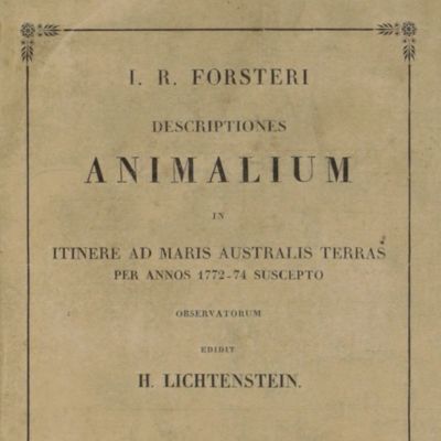 I. R. Forsteri. Descriptiones animalium quae in itinere ad Maris Australis terras per annos 1772 1773 1774 suscepto collegit observavit et delineavit Ioannes Reinoldus Forster regiae societatis scientiarum londinensis sodalis nunc demum editae auctoritate et impensis academiae litteratum regiae berolinae curante Henrico ichtenstein academiae socio. Edidit H. Lichtenstein. [Uncut, very wide-margined copy].