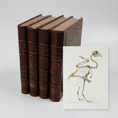 Recherches anatomiques et paléontologiques pour servir a l'histoire naturelle des oiseaux fossiles de la France. Ouvrage qui a obtenu le grand Prix des sciences physiques décerné par l'Académie des sciences en 1866.
