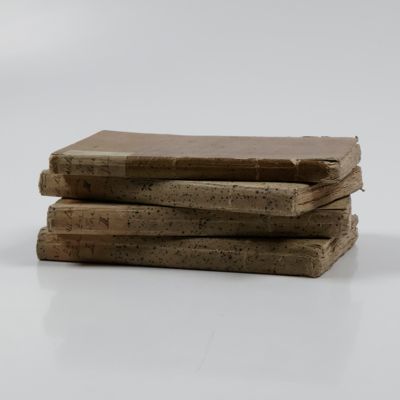 Literaturberichte zur Flora oder allgemeinen botanischen Zeitung. Volumes 1-4.